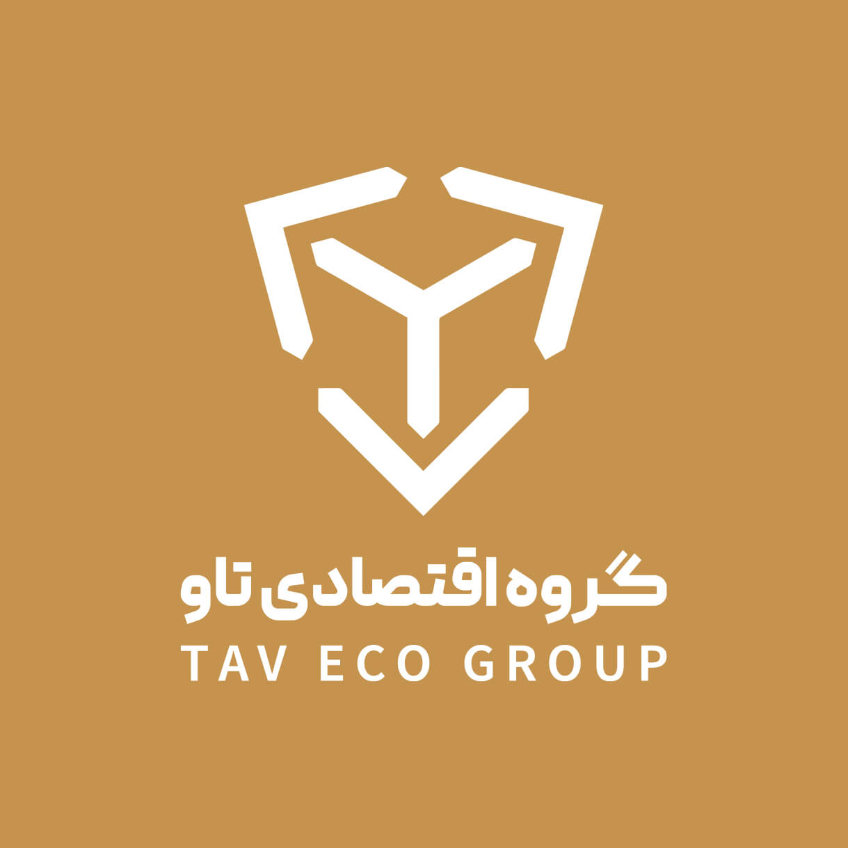 Tav Economic Group Logo